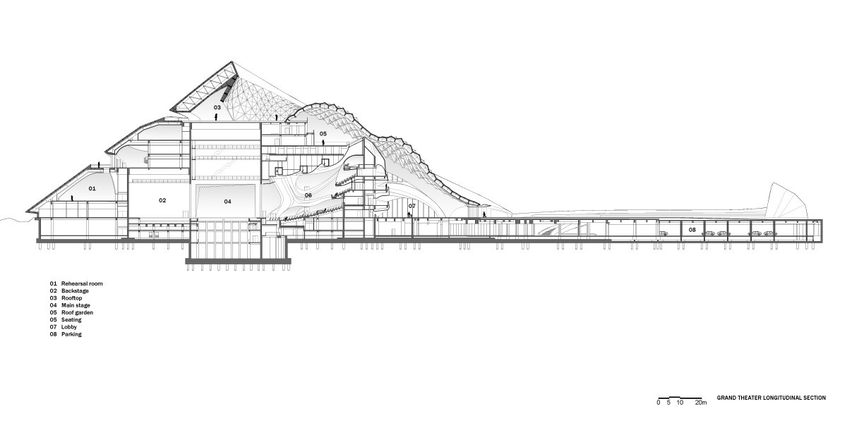 Longitudinal Section