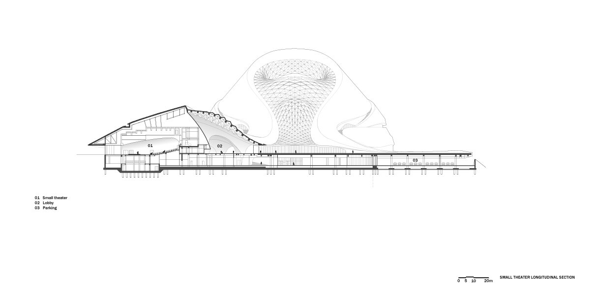 Longitudinal Section